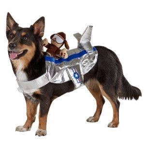 2/25$ Top Paw Pilot Rider Costume